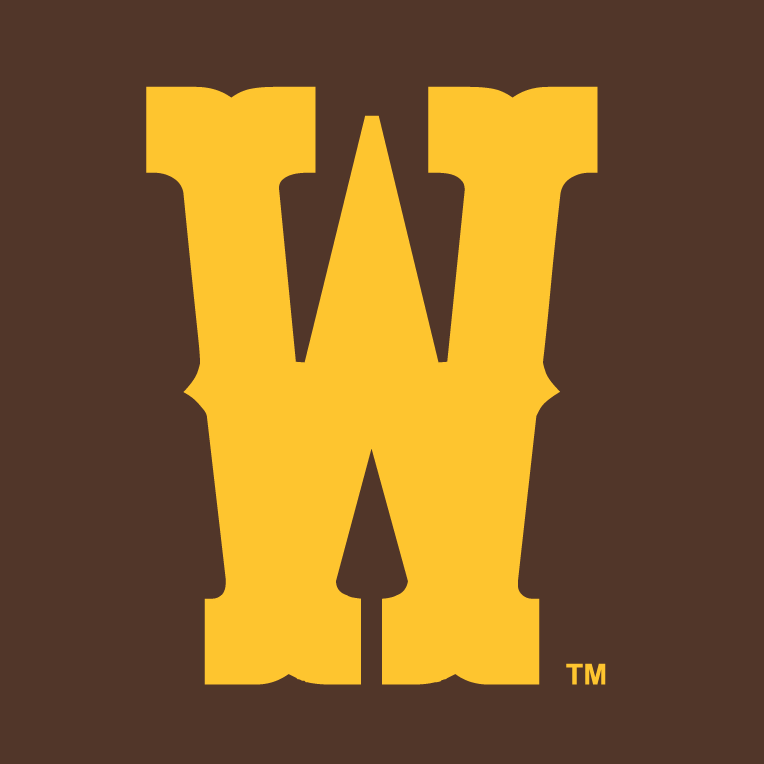 Wyoming Cowboys 2013-Pres Secondary Logo v2 diy iron on heat transfer